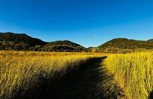 Three Suns Full Rental | 8 Cabins | Views | River - Foto 42