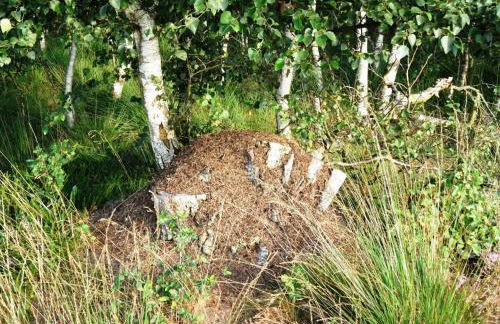 Ferienwohnung Uchte - Photo 57