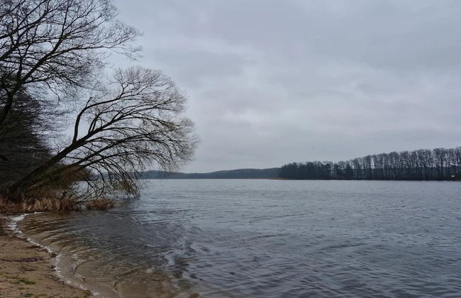 Reihenhaus mit Wlan in Buchholz am Muritzsee - Foto 48