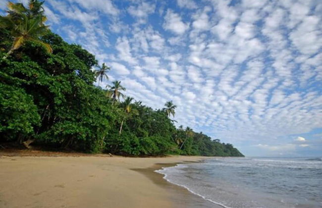 Terrazas del Caribe Hotel - Foto 74