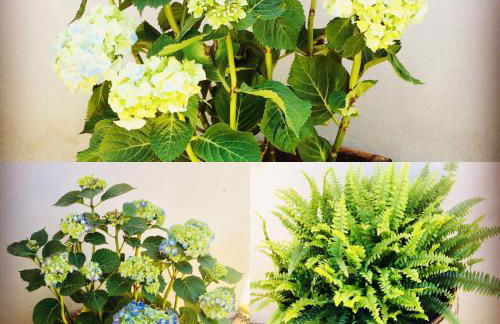 Il Quarzo A) B) - Foto 16