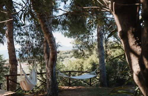 Antico Portale - Foto 9