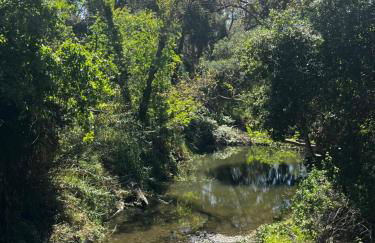 Spacious Home Steps from Huge Park and Outdoor Fun - Foto 62