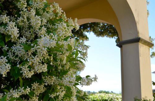 Borgo dei Cadolingi - Foto 40