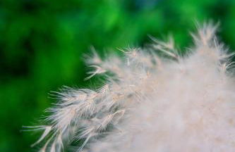 Viroga Suite Apartments - Foto 57