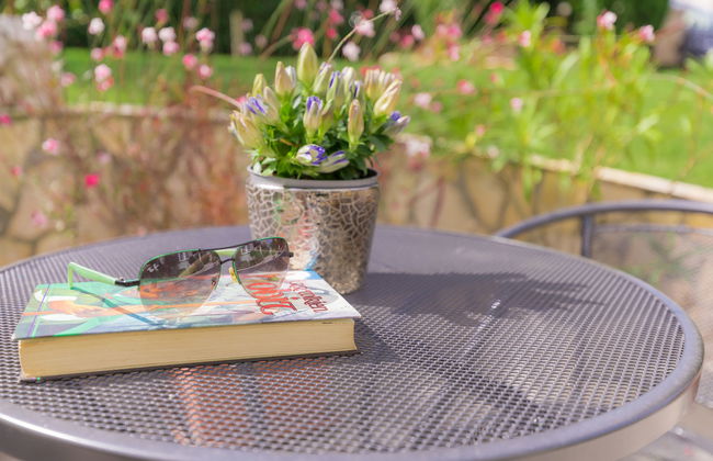 Salamander - Foto 32