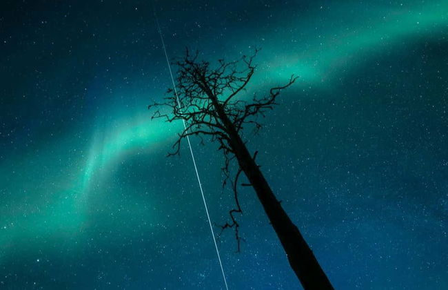 Aurora Borealis Snowshoe Tour - Foto 2