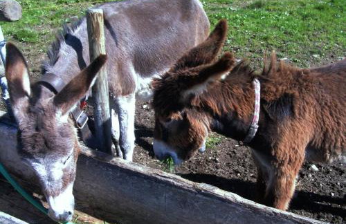 Bad Hindelang - Foto 40