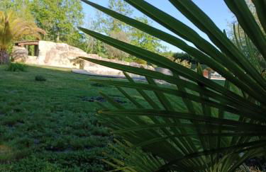 Domaine D'Erras - la bergeronnette - Foto 19