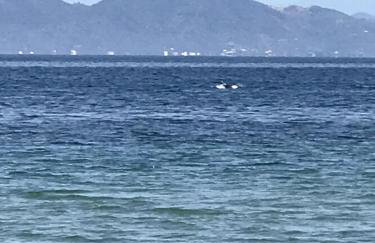 Studio Kalypso - Foto 13