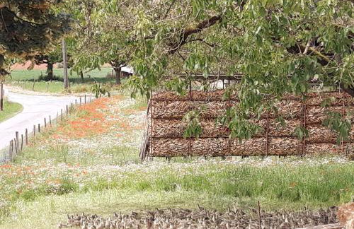 GÎTE DU BOUYSSOU - Foto 41
