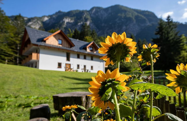 Apartments Goldhorn Kingdom - Foto 1