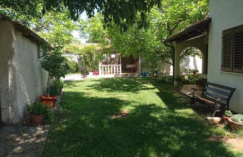 Country Guest House - Foto 21