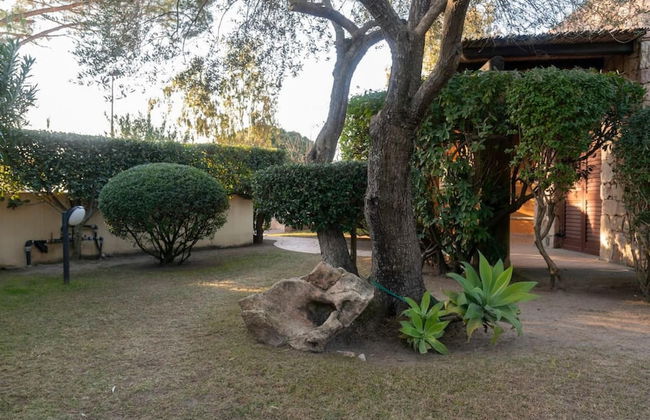 Welcomely - S Olia-l Olivo - Foto 26