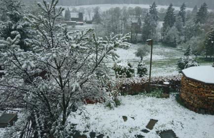 Ferienwohnung Rothen-Adler - Foto 23