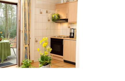 Ferienwohnungen / Ferienhaus Wahlers - Foto 35