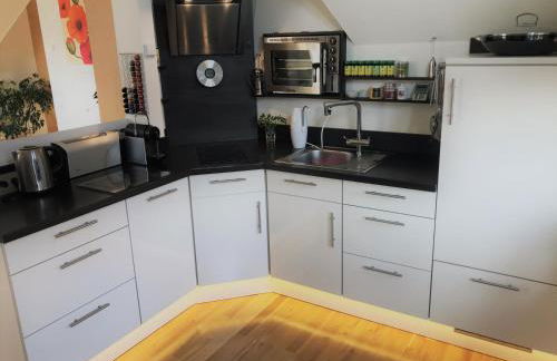 Stadtpark-Oase - Foto 3