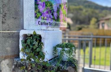 CASA MIA MALVA - Photo 1