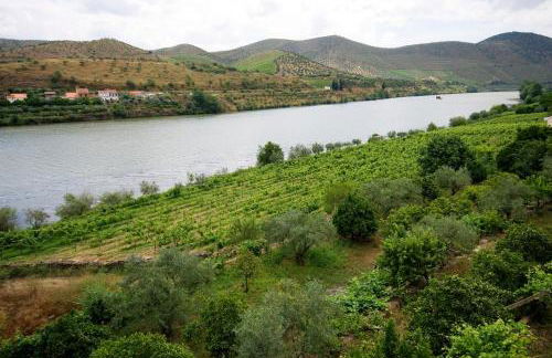 Quinta Da Ponte - Foto 24