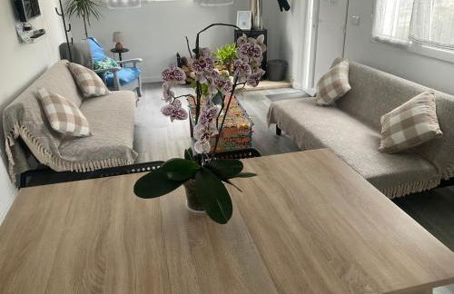 Relaxing Cabin Next to the River - La Cabaña de Susana - Foto 32