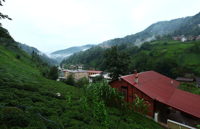 Yeşil Doğa Bungalov - Foto 22