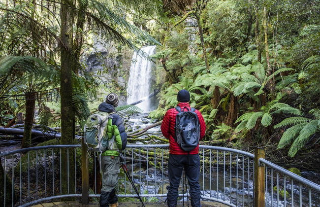 Alkina Lodge - Foto 30