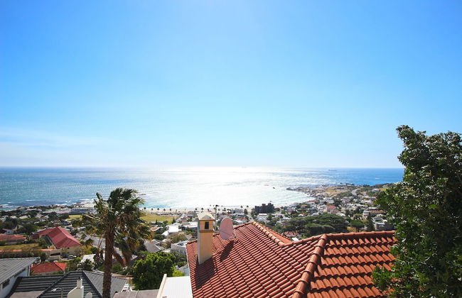 Medburn Road 16A - Photo 30