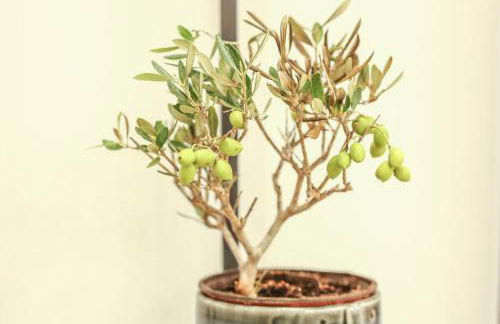 Modern and Luxury apartment - Foto 23