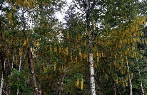 Casa Vacanze Cillà - Foto 14