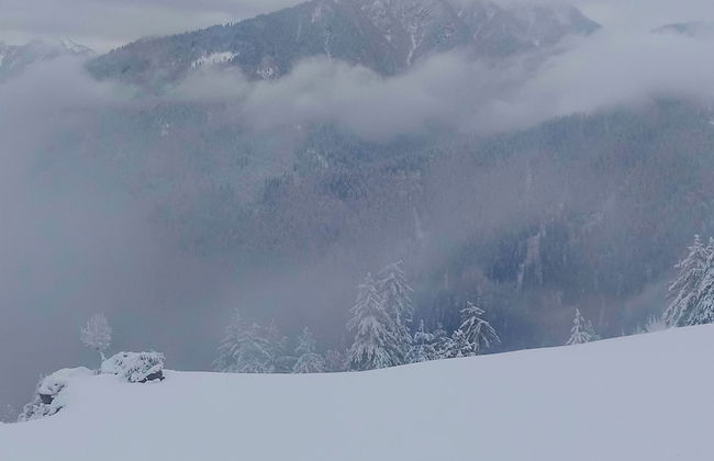 Sky Mount Cottage - Foto 40