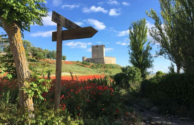Visita guidata di Tiedra - Foto 2