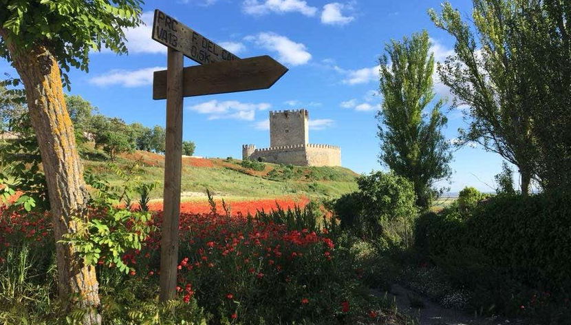 Tour in Tiedra - Foto 2