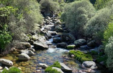 Dona Irene AL - Foto 25