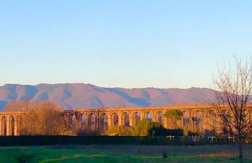 Intero alloggio campagna Lucca - Foto 57