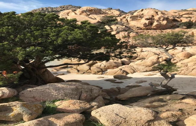 Apartment in Sardinia With Sea View - Foto 27