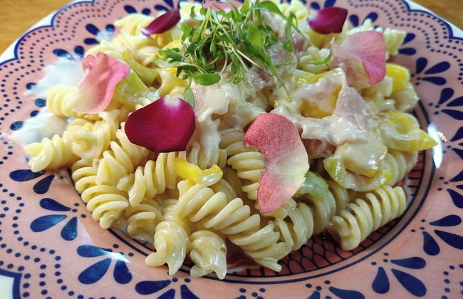 Hotel Glamping Fuerza Ancestral - Foto 52