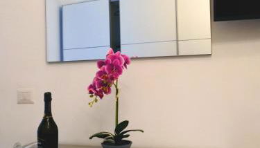 Porta Venosina Luxury House - WiFi gratis - Foto 5