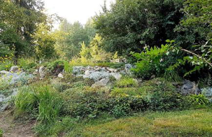 Ferienhaus Mauth - Photo 115