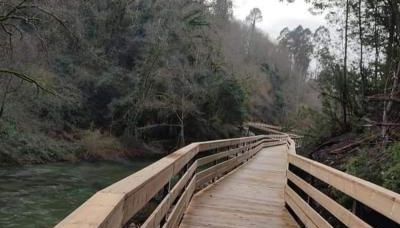 Casa Morgado - Foto 4