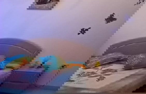 Residence Ghassen - Foto 3