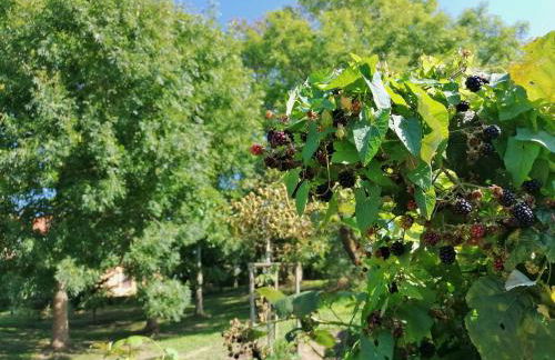 Hof am Meer "Seeadler" - Foto 30