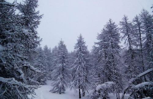 Studio au cœur de Valberg à proximité des pistes - Foto 30