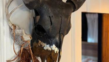 Dancing Pines Cabin - Foto 4