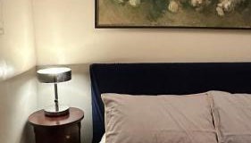 Pace Blu Roma - Photo 2