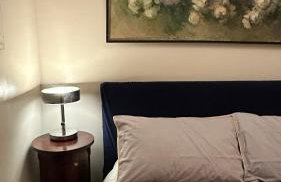 Pace Blu Roma - Foto 2