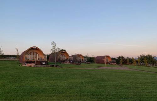 Deep Dale- Bugthorpe Grange Glamping - Foto 18