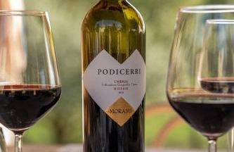 Terra dei Bisonti - Foto 66