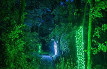 HiveAway - Hot Tub - Carmarthenshire - Pembrokeshire - Foto 12