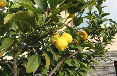 Amari Hotel - Photo 66