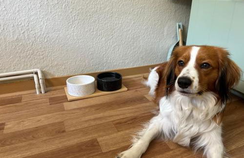 Liebignest - Foto 33